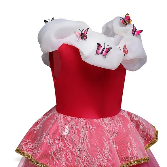 Fancy Embroidered Butterfly princess costume dress - Picture 9 of 9